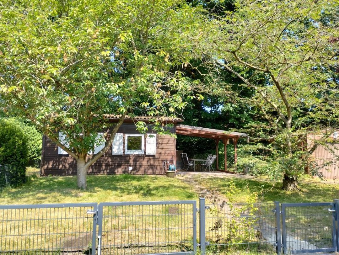 Neu! Sommerhaus Im Cuxland Hechthausen Exterior foto